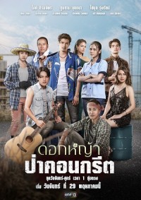Hoa Dại Giữa Thành Phố