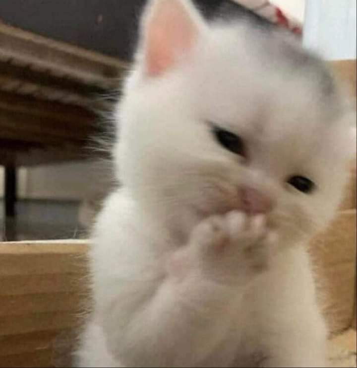 ☪ỏ ßα ℒá